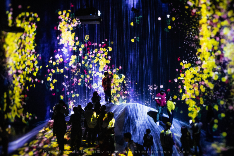 IMG_3900