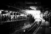 IMG_6012
