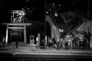 IMG_6093