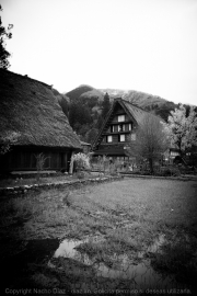 IMG_6601