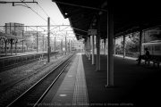 IMG_6900