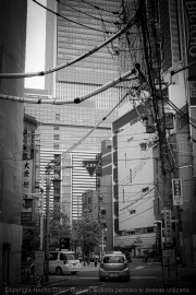 IMG_6914