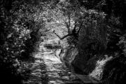 IMG_7044