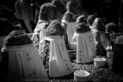 IMG_7054