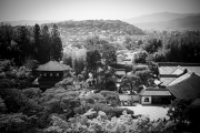 IMG_7060