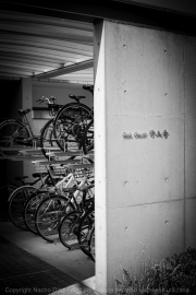 IMG_7079