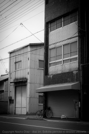 IMG_7177