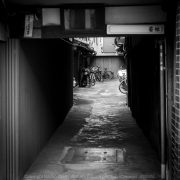 IMG_7201