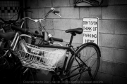 IMG_7231