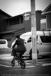 IMG_7233