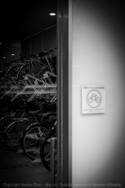 IMG_7256