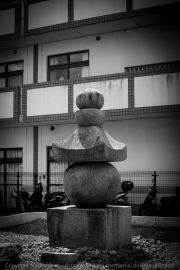 IMG_7338