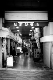 IMG_7347