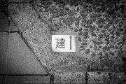 IMG_7351