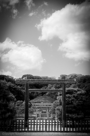 IMG_7363