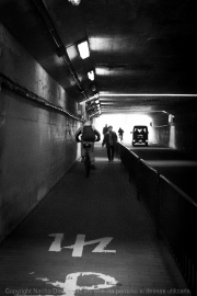 IMG_7455