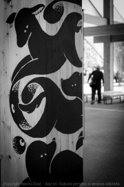 IMG_7787