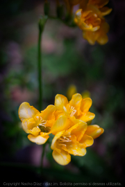 IMG_6893