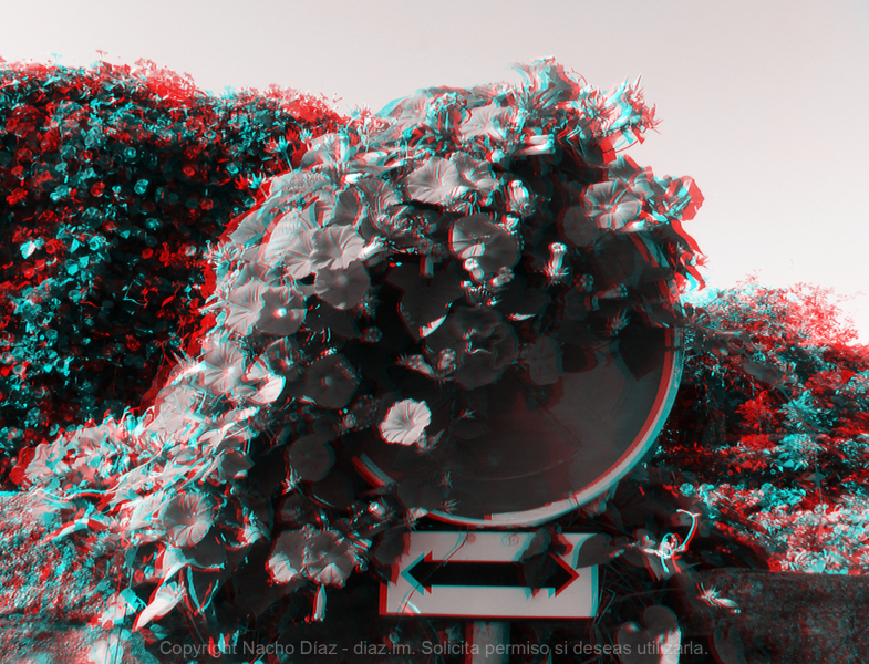 DSCF0213