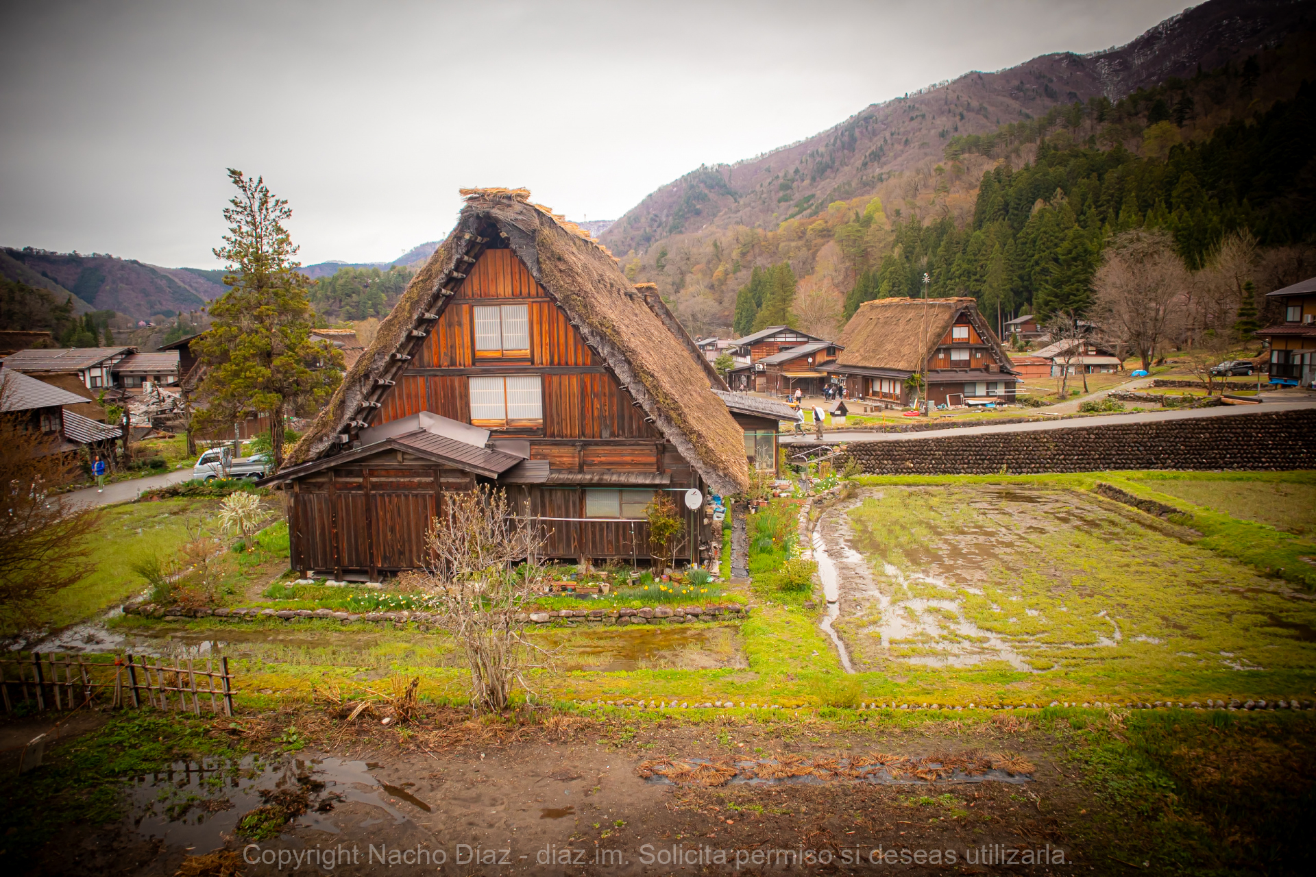 Japón 2025 – Color